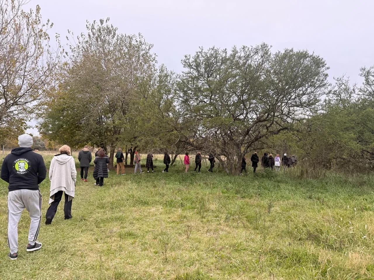 Caminata consciente durante una experiencia en la naturaleza